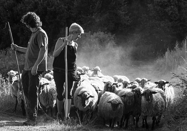 Titular Som la Núria i en Moi i hem volgut fusionar ovelles, gossos pastors, productes làctics i entorn